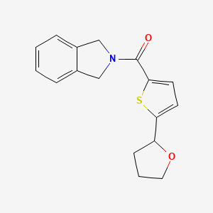 molecular formula C17H17NO2S B5653222 2-{[5-(tetrahydro-2-furanyl)-2-thienyl]carbonyl}isoindoline 
