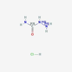 B565325 SCA-13C-15N2 hydrochloride CAS No. 1173020-16-0