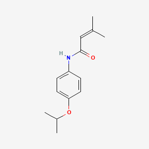 molecular formula C14H19NO2 B5653538 N-(4-isopropoxyphenyl)-3-methyl-2-butenamide 