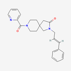 molecular formula C23H25N3O2 B5653989 2-[(2E)-3-phenyl-2-propen-1-yl]-8-(2-pyridinylcarbonyl)-2,8-diazaspiro[4.5]decan-3-one 
