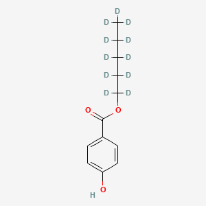 molecular formula C12H16O3 B565417 Pentyl-d11 Paraben CAS No. 1216496-15-9