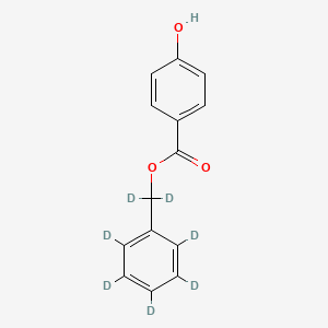 molecular formula C14H12O3 B565418 Benzyl-d7 Paraben CAS No. 1216916-40-3