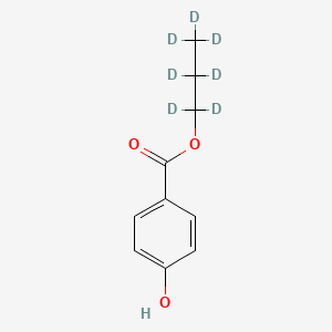 molecular formula C10H12O3 B565423 丙基-d7对羟基苯甲酸酯 CAS No. 1246820-92-7