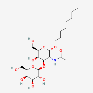 molecular formula C22H41NO11 B565528 Octyl 2-acetamido-2-deoxy-3-O-beta-D-galactopyranosyl-alpha-D-galactopyranoside CAS No. 607353-49-1