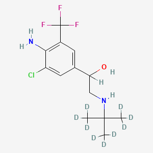 molecular formula C13H18ClF3N2O B565552 Mabuterol-d9 CAS No. 1246819-58-8