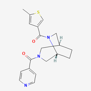 molecular formula C19H21N3O2S B5655917 (1S*,5R*)-3-isonicotinoyl-6-[(5-methyl-3-thienyl)carbonyl]-3,6-diazabicyclo[3.2.2]nonane 