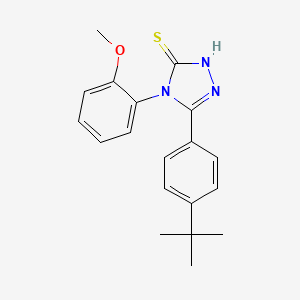 molecular formula C19H21N3OS B5656113 5-(4-tert-butylphenyl)-4-(2-methoxyphenyl)-2,4-dihydro-3H-1,2,4-triazole-3-thione 