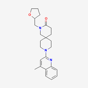 molecular formula C24H31N3O2 B5656220 9-(4-methylquinolin-2-yl)-2-(tetrahydrofuran-2-ylmethyl)-2,9-diazaspiro[5.5]undecan-3-one 