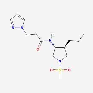 molecular formula C14H24N4O3S B5656306 N-[(3R*,4S*)-1-(methylsulfonyl)-4-propyl-3-pyrrolidinyl]-3-(1H-pyrazol-1-yl)propanamide 