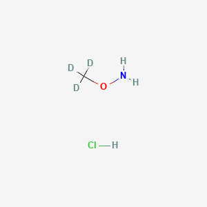 molecular formula CH6ClNO B565646 Methoxyl-d3-amine Hydrochloride CAS No. 110220-55-8