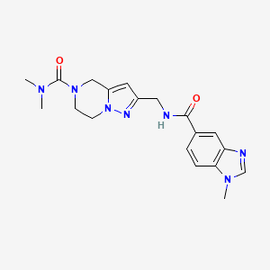 molecular formula C19H23N7O2 B5656469 N,N-dimethyl-2-({[(1-methyl-1H-benzimidazol-5-yl)carbonyl]amino}methyl)-6,7-dihydropyrazolo[1,5-a]pyrazine-5(4H)-carboxamide 