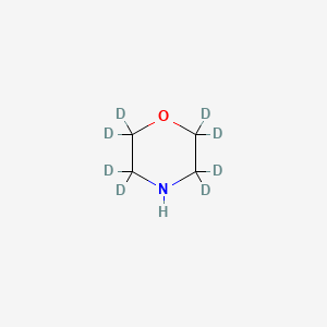 molecular formula C4H9NO B565666 Morpholine-2,2,3,3,5,5,6,6-D8 CAS No. 342611-02-3