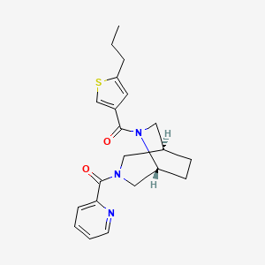 molecular formula C21H25N3O2S B5657110 (1S*,5R*)-6-[(5-propyl-3-thienyl)carbonyl]-3-(pyridin-2-ylcarbonyl)-3,6-diazabicyclo[3.2.2]nonane 