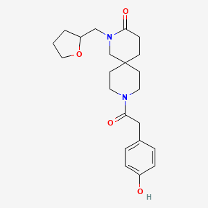 molecular formula C22H30N2O4 B5657502 9-[(4-hydroxyphenyl)acetyl]-2-(tetrahydrofuran-2-ylmethyl)-2,9-diazaspiro[5.5]undecan-3-one 