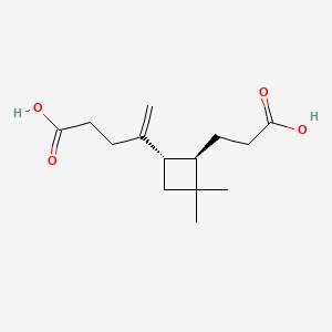 molecular formula C14H22O4 B565847 beta-Caryophyllinic acid CAS No. 957055-11-7