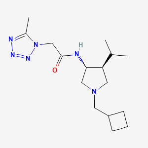 molecular formula C16H28N6O B5658558 N-[rel-(3R,4S)-1-(cyclobutylmethyl)-4-isopropyl-3-pyrrolidinyl]-2-(5-methyl-1H-tetrazol-1-yl)acetamide hydrochloride 