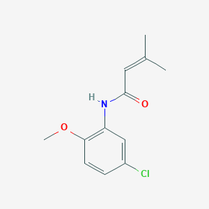molecular formula C12H14ClNO2 B5658719 N-(5-chloro-2-methoxyphenyl)-3-methyl-2-butenamide 