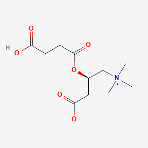 molecular formula C11H19NO6 B565938 Succinylcarnitine CAS No. 256928-74-2