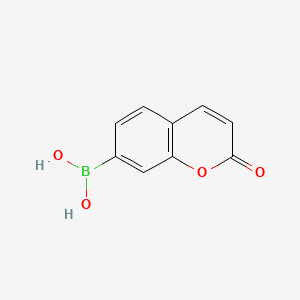 molecular formula C9H7BO4 B566181 (2-Oxochromen-7-YL)boronic acid CAS No. 1357078-03-5