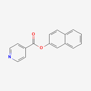 molecular formula C16H11NO2 B5661994 2-naphthyl isonicotinate 