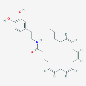 molecular formula C28H33D8NO3 B566233 N-Arachidonoyl Dopamine-d8 CAS No. 1159908-42-5