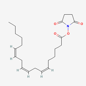 molecular formula C22H33NO4 B566255 gamma-Linolenic Acid N-Hydroxysuccinimidyl Ester CAS No. 216447-57-3