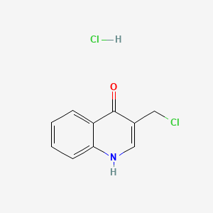 molecular formula C10H9Cl2NO B566271 3-(Chloromethyl)quinolin-4-ol hydrochloride CAS No. 1797891-10-1
