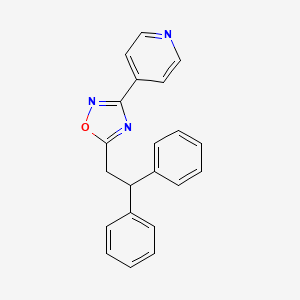 molecular formula C21H17N3O B5662737 4-[5-(2,2-diphenylethyl)-1,2,4-oxadiazol-3-yl]pyridine 