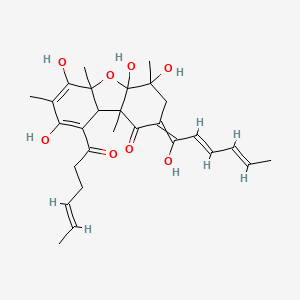 9-[(E)-hex-4-enoyl]-4,4a,6,8-tetrahydroxy-2-[(2E,4E)-1-hydroxyhexa-2,4-dienylidene]-4,5a,7,9b-tetramethyl-3,9a-dihydrodibenzofuran-1-one