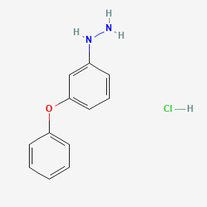 molecular formula C12H13ClN2O B566396 (3-Phenoxyphenyl)hydrazine hydrochloride CAS No. 109221-90-1