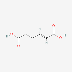 molecular formula C6H8O4 B566455 hex-2-enedioic acid CAS No. 4440-68-0