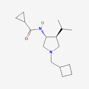 molecular formula C16H28N2O B5664729 N-[rel-(3R,4S)-1-(cyclobutylmethyl)-4-isopropyl-3-pyrrolidinyl]cyclopropanecarboxamide hydrochloride 