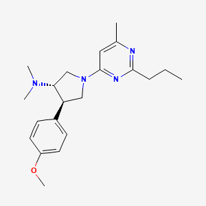 molecular formula C21H30N4O B5666150 (3S*,4R*)-4-(4-methoxyphenyl)-N,N-dimethyl-1-(6-methyl-2-propyl-4-pyrimidinyl)-3-pyrrolidinamine 