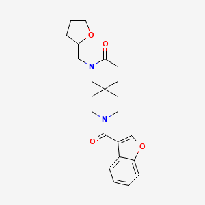 molecular formula C23H28N2O4 B5666240 9-(1-benzofuran-3-ylcarbonyl)-2-(tetrahydrofuran-2-ylmethyl)-2,9-diazaspiro[5.5]undecan-3-one 