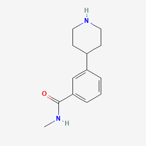 molecular formula C13H18N2O B566674 N-Methyl-3-piperidin-4-ylbenzamide CAS No. 1221279-03-3