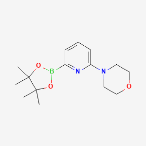 molecular formula C15H23BN2O3 B566679 4-(6-(4,4,5,5-四甲基-1,3,2-二氧杂硼烷-2-基)吡啶-2-基)吗啉 CAS No. 1260374-06-8