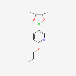 molecular formula C15H24BNO3 B566684 2-丁氧基-5-(4,4,5,5-四甲基-1,3,2-二氧杂硼环-2-基)吡啶 CAS No. 1310404-88-6