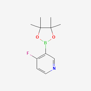 molecular formula C11H15BFNO2 B566731 4-氟-3-(4,4,5,5-四甲基-1,3,2-二氧杂硼环-2-基)吡啶 CAS No. 1220219-91-9