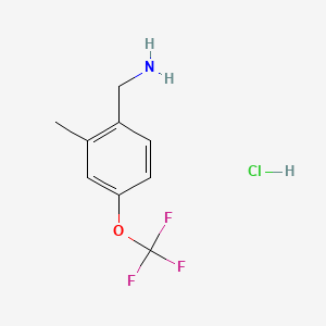 molecular formula C9H11ClF3NO B566760 (2-甲基-4-(三氟甲氧基)苯基)甲胺盐酸盐 CAS No. 1229625-05-1