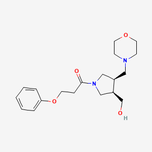 molecular formula C19H28N2O4 B5668025 [(3R*,4R*)-4-(4-morpholinylmethyl)-1-(3-phenoxypropanoyl)-3-pyrrolidinyl]methanol 