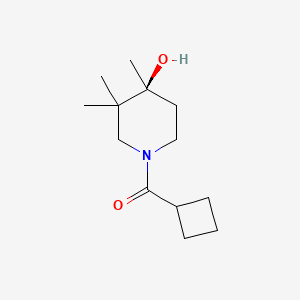 molecular formula C13H23NO2 B5668559 (4S)-1-(cyclobutylcarbonyl)-3,3,4-trimethyl-4-piperidinol 