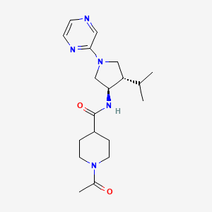 molecular formula C19H29N5O2 B5668680 1-acetyl-N-[(3R*,4S*)-4-isopropyl-1-(2-pyrazinyl)-3-pyrrolidinyl]-4-piperidinecarboxamide 