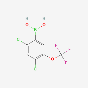 molecular formula C7H4BCl2F3O3 B566902 2,4-二氯-5-(三氟甲氧基)苯硼酸 CAS No. 1256354-96-7