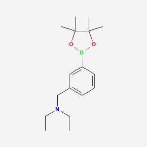 molecular formula C17H28BNO2 B566933 N-乙基-N-(3-(4,4,5,5-四甲基-1,3,2-二氧杂硼环-2-基)苄基)乙胺 CAS No. 1260900-80-8