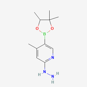 molecular formula C11H18BN3O2 B566934 2-Hydrazinyl-4-methyl-5-(4,4,5-trimethyl-1,3,2-dioxaborolan-2-yl)pyridine CAS No. 1356363-77-3