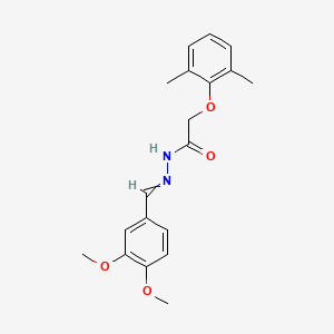 molecular formula C19H22N2O4 B5669821 N'-(3,4-dimethoxybenzylidene)-2-(2,6-dimethylphenoxy)acetohydrazide 
