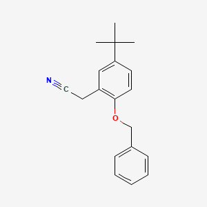 molecular formula C19H21NO B566987 2-(2-(苄氧基)-5-(叔丁基)苯基)乙腈 CAS No. 1246213-26-2