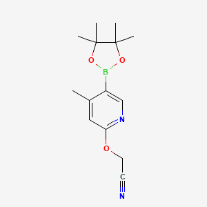 molecular formula C14H19BN2O3 B566988 2-((4-Methyl-5-(4,4,5,5-tetramethyl-1,3,2-dioxaborolan-2-yl)pyridin-2-yl)oxy)acetonitrile CAS No. 1354910-97-6