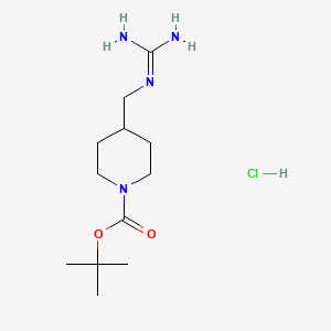 molecular formula C12H25ClN4O2 B567011 Tert-butyl 4-[(diaminomethylideneamino)methyl]piperidine-1-carboxylate;hydrochloride CAS No. 1246547-67-0