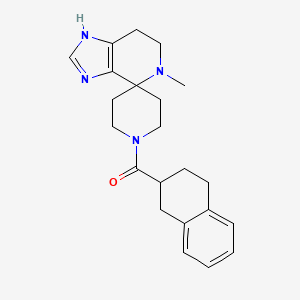 molecular formula C22H28N4O B5670134 5-methyl-1'-(1,2,3,4-tetrahydronaphthalen-2-ylcarbonyl)-1,5,6,7-tetrahydrospiro[imidazo[4,5-c]pyridine-4,4'-piperidine] 